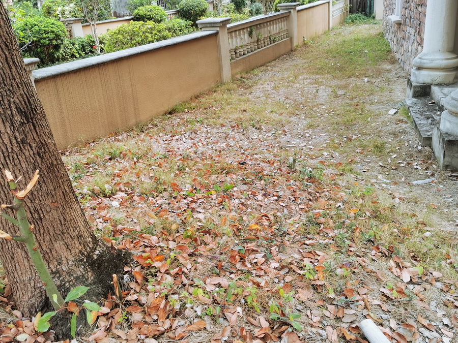 领居186-01 (2).jpg